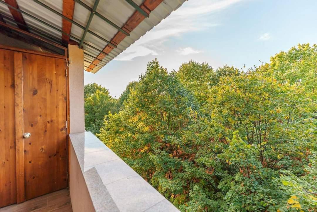Central Apartament Cristian Арад Екстериор снимка